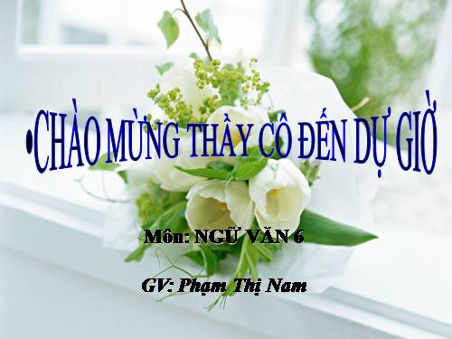Bài 27. Câu trần thuật đơn có từ là