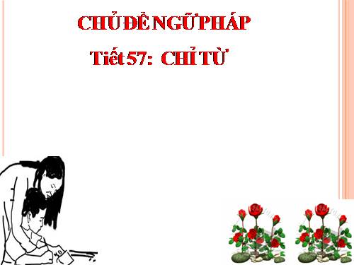 Bài 13. Chỉ từ