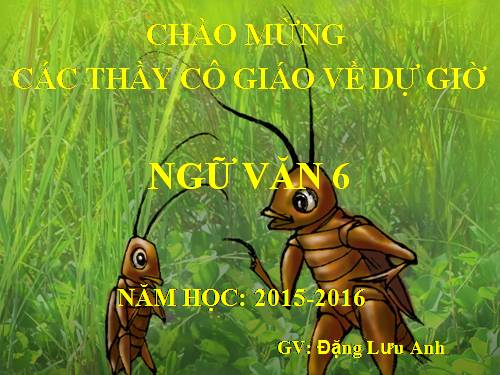 Bài 18. Bài học đường đời đầu tiên