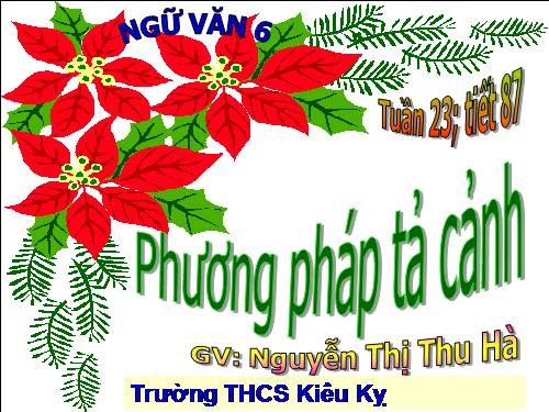 Bài 21. Phương pháp tả cảnh