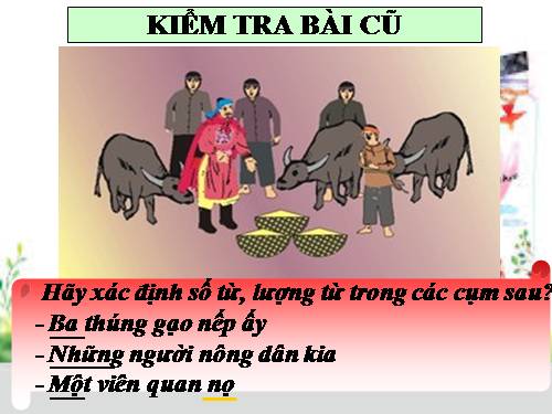 Bài 13. Chỉ từ