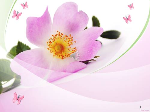 Bài 19. Sông nước Cà Mau