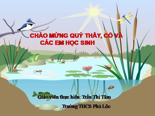 Bài 10. Ếch ngồi đáy giếng