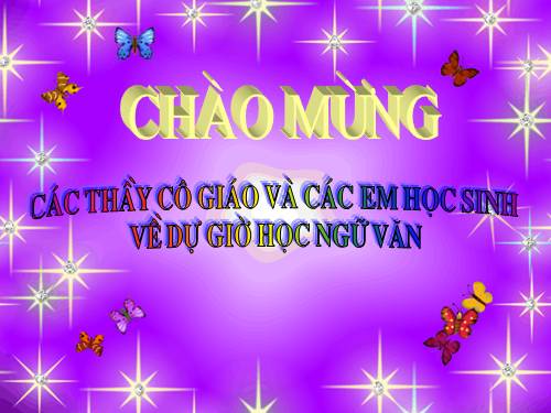 Bài 19. Sông nước Cà Mau