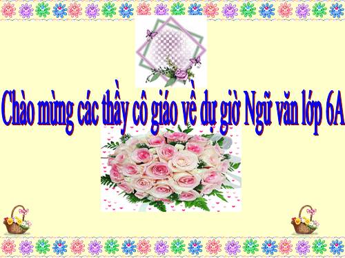 Bài 11. Chân, Tay, Tai, Mắt, Miệng