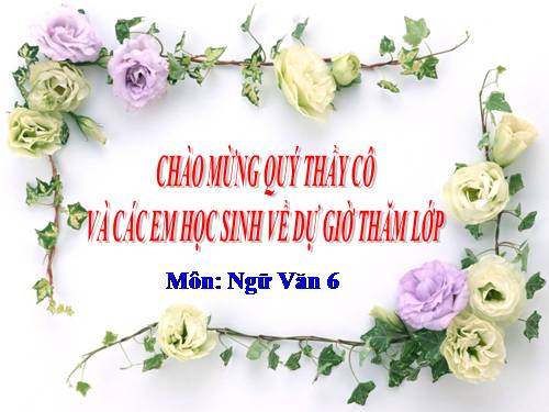 Bài 12. Số từ và lượng từ