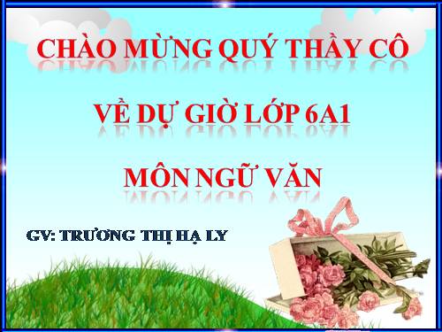 Bài 12. Số từ và lượng từ