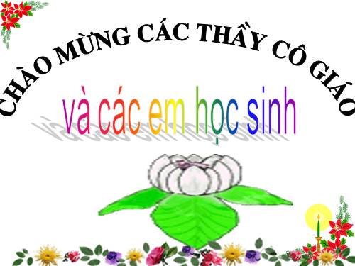 Bài 11. Cụm danh từ