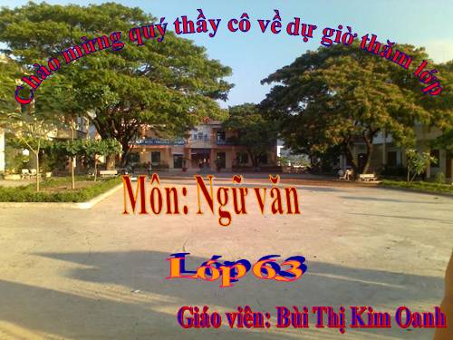 Bài 12. Số từ và lượng từ