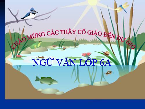 Bài 10. Ếch ngồi đáy giếng