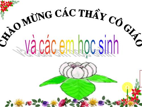 Bài 11. Cụm danh từ