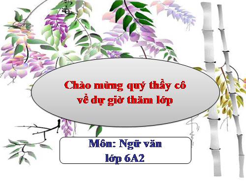 Bài 25. Cô Tô