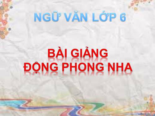 Bài 31. Động Phong Nha