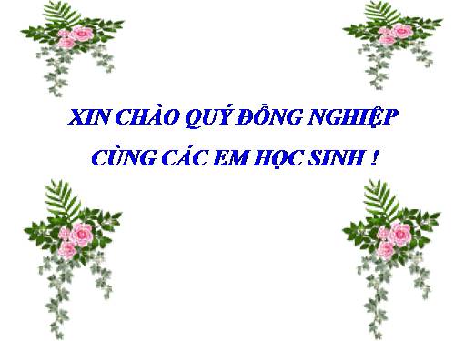 cau ghep