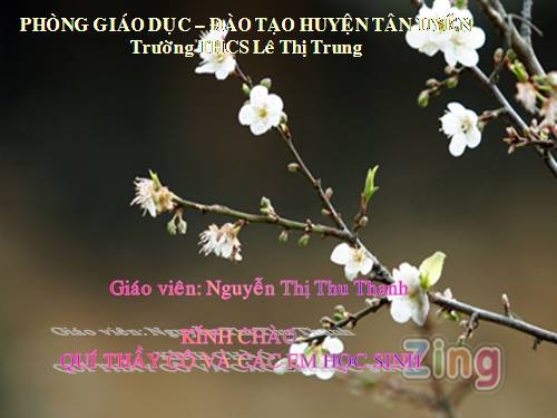 Bài 19. Sông nước Cà Mau