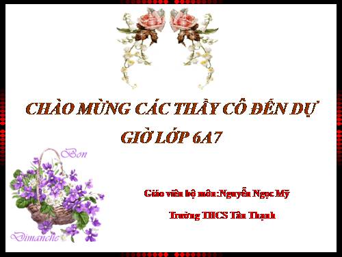 Bài 13. Chỉ từ