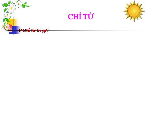 Bài 13. Chỉ từ