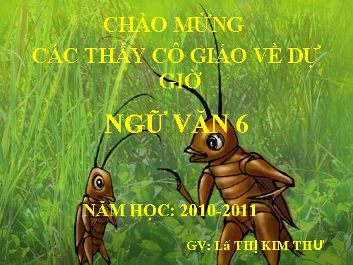 Bài 18. Bài học đường đời đầu tiên