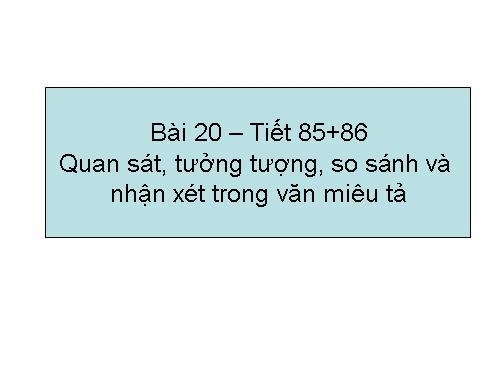 Bài 19. Quan sát, tưởng tượng, so sánh và nhận xét trong văn miêu tả