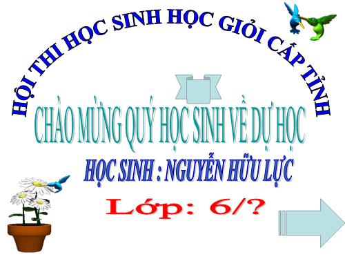 Bài 13. Luyện tập kể chuyện tưởng tượng