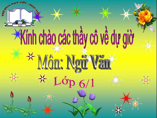 Bài 15. Tính từ và cụm tính từ