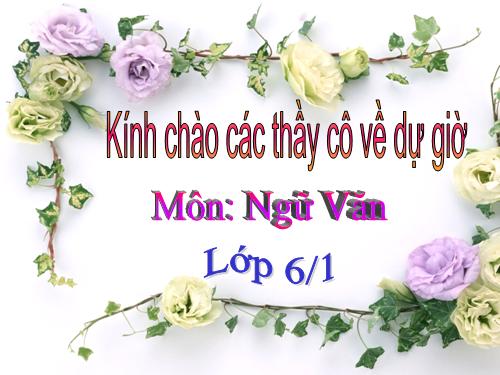 ÔN TẬP TIẾNG VIỆT