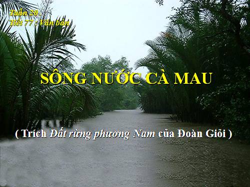 Bài 19. Sông nước Cà Mau