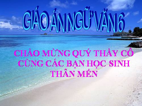 Bài 21. Phương pháp tả cảnh