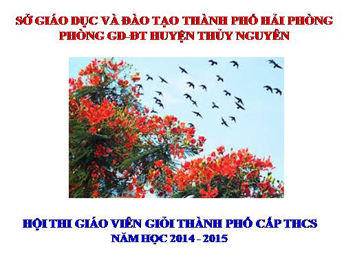 Bài 14. Động từ