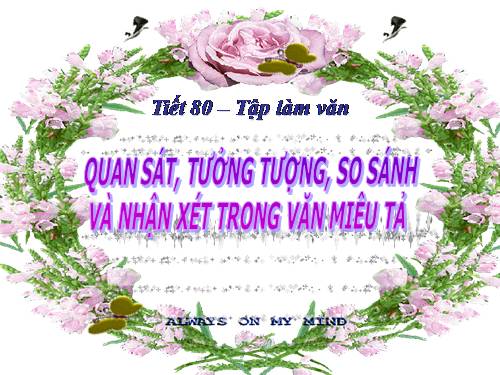 Bài 19. Quan sát, tưởng tượng, so sánh và nhận xét trong văn miêu tả