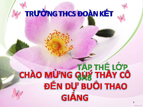 Bài 19. Sông nước Cà Mau