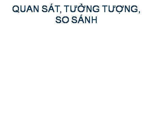 Bài 19. Quan sát, tưởng tượng, so sánh và nhận xét trong văn miêu tả