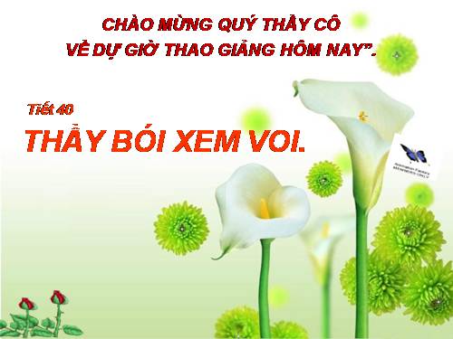 Bài 10. Thầy bói xem voi