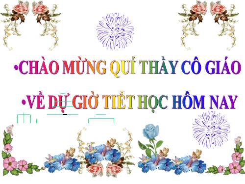 Bài 12. Số từ và lượng từ