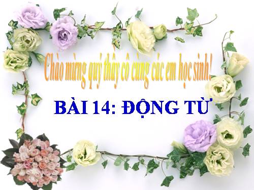 Bài 14. Động từ