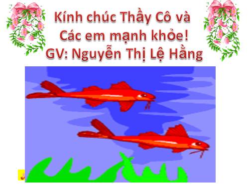 Bài 12. Treo biển