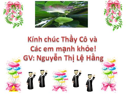 Bài 12. Treo biển