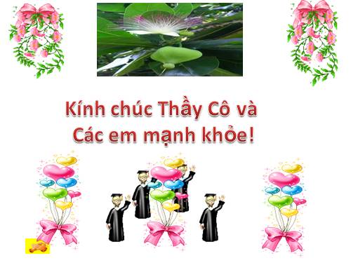 Bài 12. Treo biển