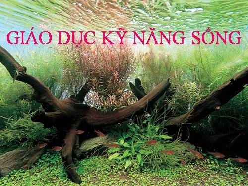 GIAO DUC KỸ NĂNG SỐNG