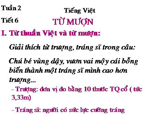 Bài 2. Từ mượn