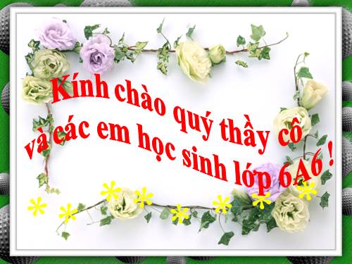 Bài 10. Ếch ngồi đáy giếng