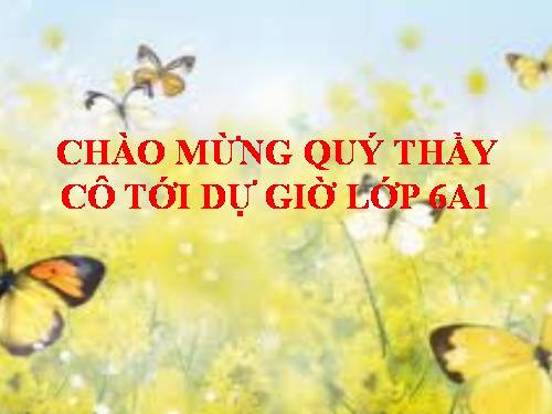 Bài 25. Cô Tô