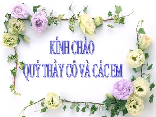 Bài 19. Sông nước Cà Mau