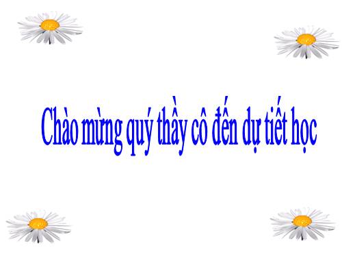 Bài 13. Chỉ từ