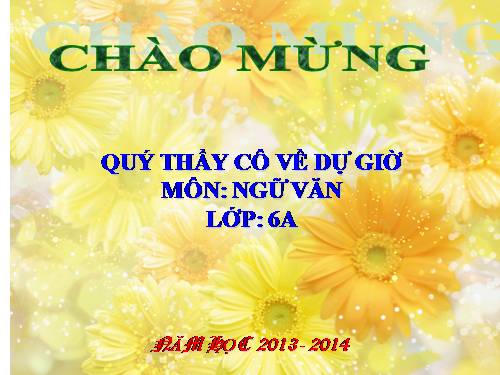 Bài 25. Cô Tô