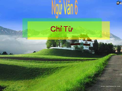 Bài 13. Chỉ từ