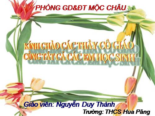 Bài 20. Bức tranh của em gái tôi