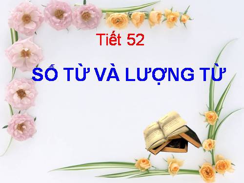 Bài 12. Số từ và lượng từ