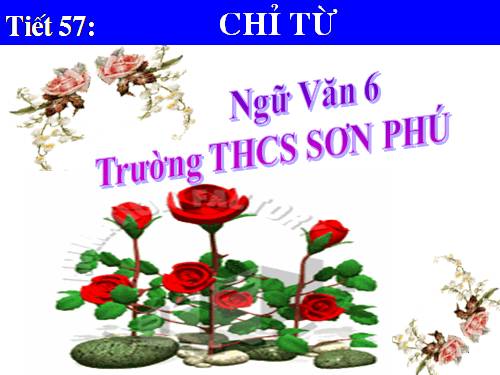 Bài 13. Chỉ từ