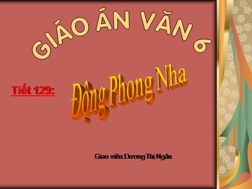 Bài 31. Động Phong Nha